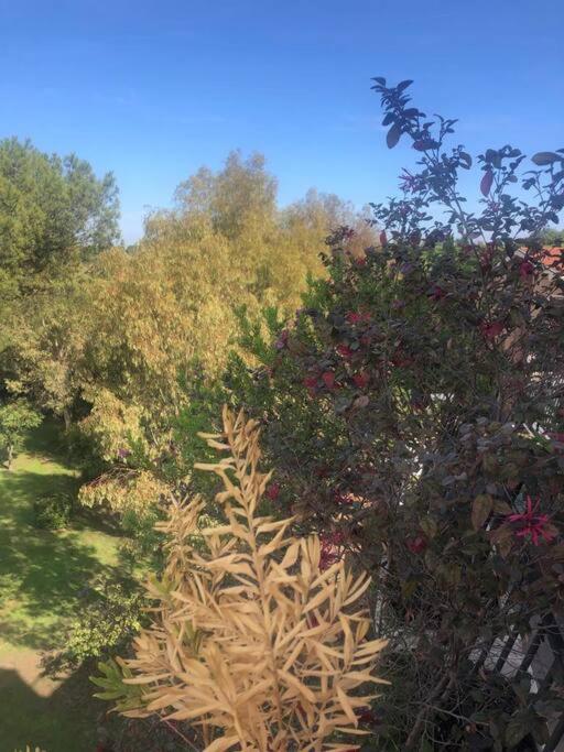 Villa Casa Incantevole Con Vista Parco Appia Antica à Rome Extérieur photo
