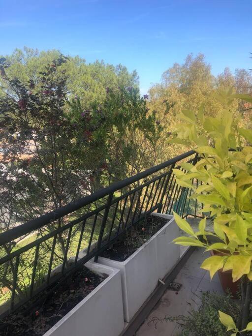 Villa Casa Incantevole Con Vista Parco Appia Antica à Rome Extérieur photo